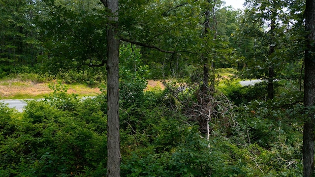 0 Ridgewood Dr, Mc Ewen, TN 37101 - photo 26