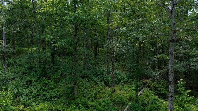 0 Ridgewood Dr, Mc Ewen, TN 37101 - photo 23