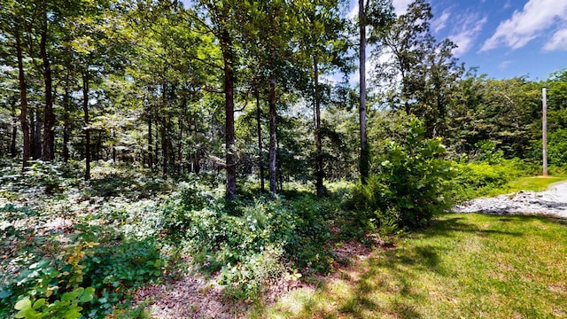 0 Ridgewood Dr, Mc Ewen, TN 37101 - photo 4