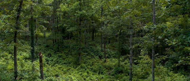 0 Ridgewood Dr, Mc Ewen, TN 37101 - photo 33