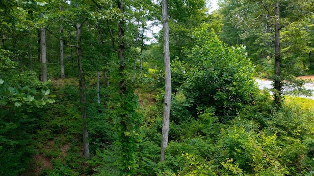 0 Ridgewood Dr, Mc Ewen, TN 37101 - photo 25