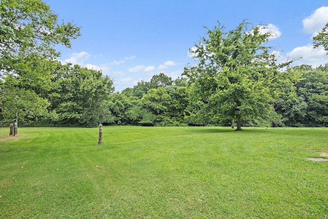 3646 Alessio Rd, Whites Creek, TN 37189 - photo 35