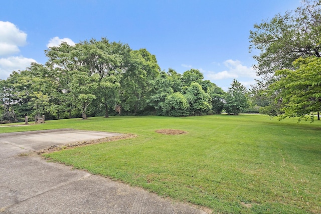3646 Alessio Rd, Whites Creek, TN 37189 - photo 8