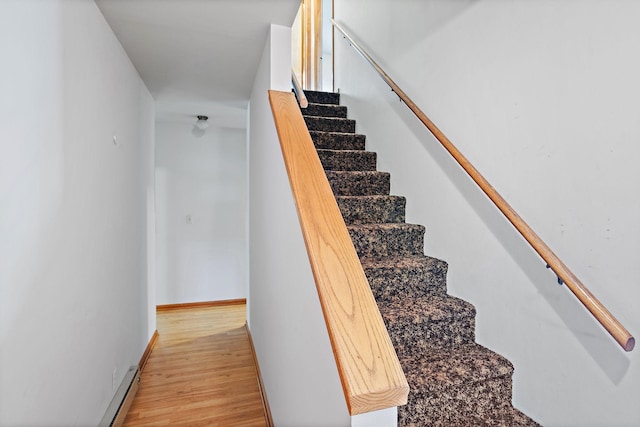 3646 Alessio Rd, Whites Creek, TN 37189 - photo 29