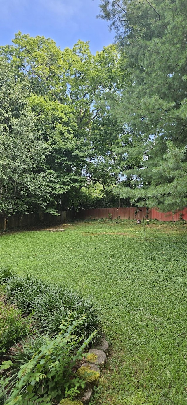 204 Cody Ct, Clarksville, TN 37043 - photo 4