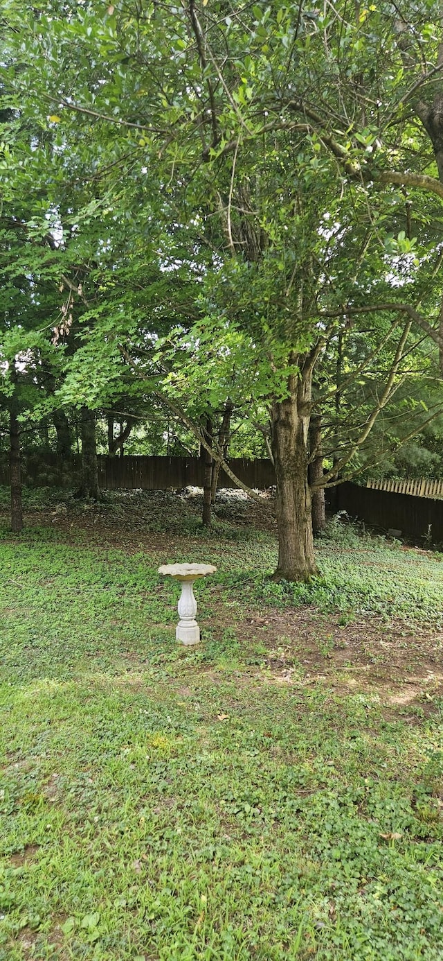 204 Cody Ct, Clarksville, TN 37043 - photo 3