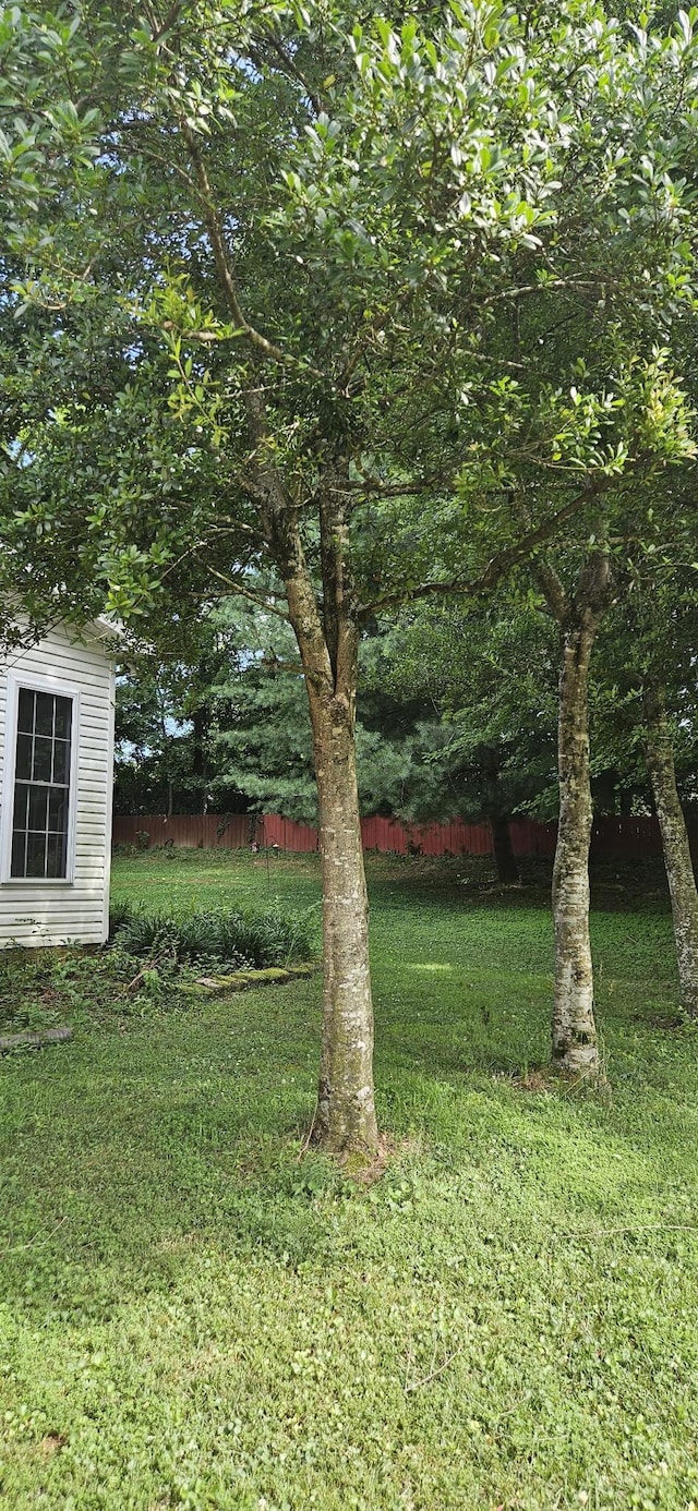 204 Cody Ct, Clarksville, TN 37043 - photo 2