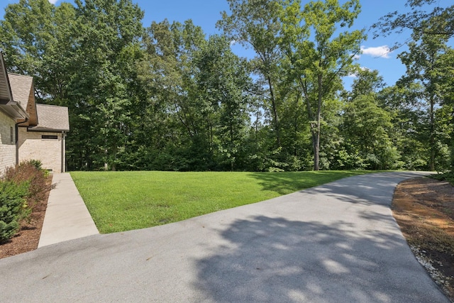 7903 Daugherty Capley Rd, Primm Springs, TN 38476 - photo 54