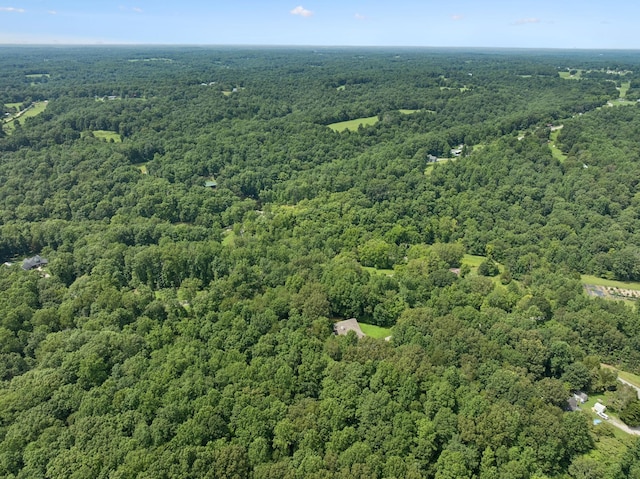 7903 Daugherty Capley Rd, Primm Springs, TN 38476 - photo 82