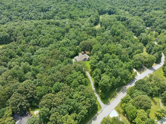 7903 Daugherty Capley Rd, Primm Springs, TN 38476 - photo 86
