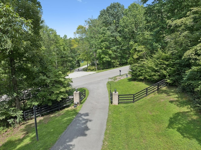 7903 Daugherty Capley Rd, Primm Springs, TN 38476 - photo 66