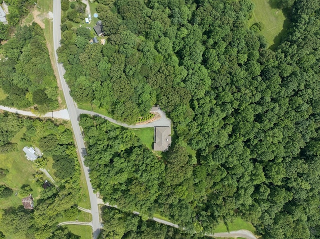 7903 Daugherty Capley Rd, Primm Springs, TN 38476 - photo 88