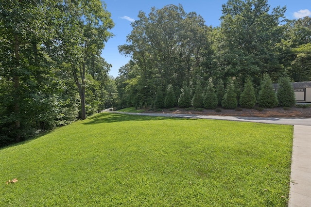 7903 Daugherty Capley Rd, Primm Springs, TN 38476 - photo 56