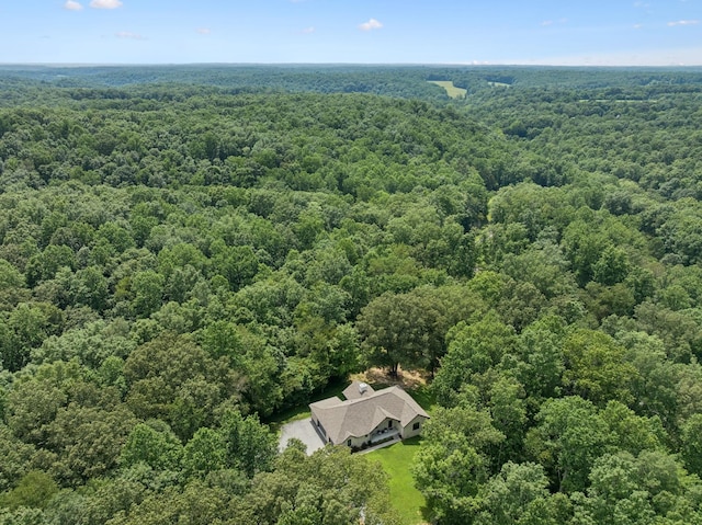 7903 Daugherty Capley Rd, Primm Springs, TN 38476 - photo 70