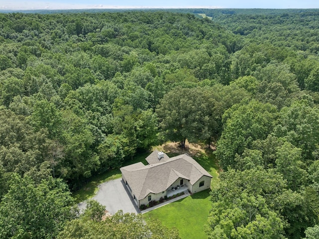 7903 Daugherty Capley Rd, Primm Springs, TN 38476 - photo 69