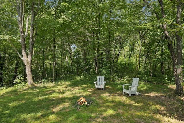 7903 Daugherty Capley Rd, Primm Springs, TN 38476 - photo 60