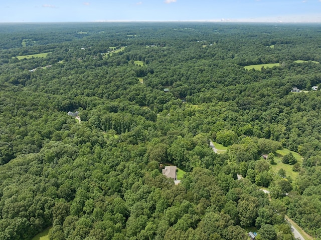 7903 Daugherty Capley Rd, Primm Springs, TN 38476 - photo 83