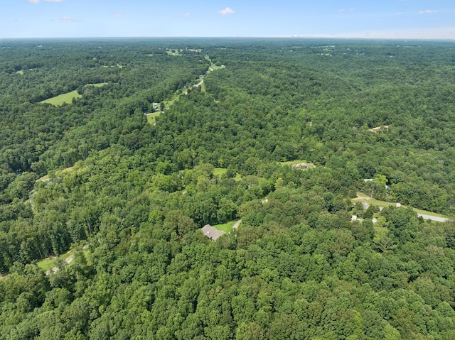 7903 Daugherty Capley Rd, Primm Springs, TN 38476 - photo 81