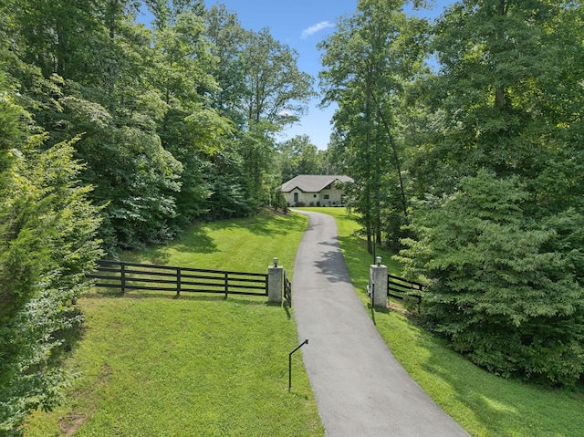 7903 Daugherty Capley Rd, Primm Springs, TN 38476 - photo 67