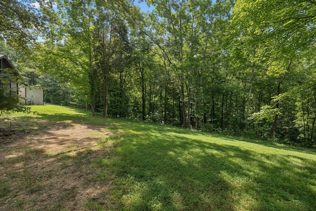 7903 Daugherty Capley Rd, Primm Springs, TN 38476 - photo 61