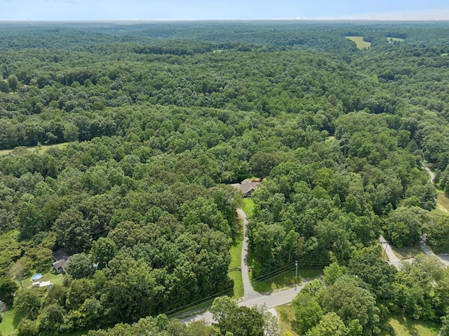 7903 Daugherty Capley Rd, Primm Springs, TN 38476 - photo 71