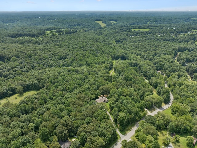 7903 Daugherty Capley Rd, Primm Springs, TN 38476 - photo 85