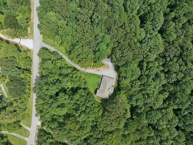 7903 Daugherty Capley Rd, Primm Springs, TN 38476 - photo 87