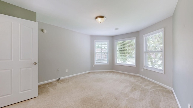 121 Kearney Ct, Nolensville, TN 37135 - photo 32
