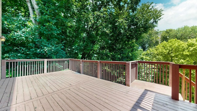 121 Kearney Ct, Nolensville, TN 37135 - photo 13