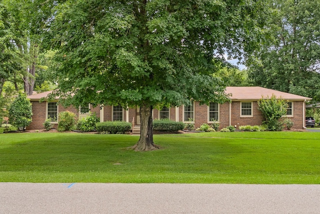 419 Fabian Pl, Clarksville, TN 37043 - photo 1