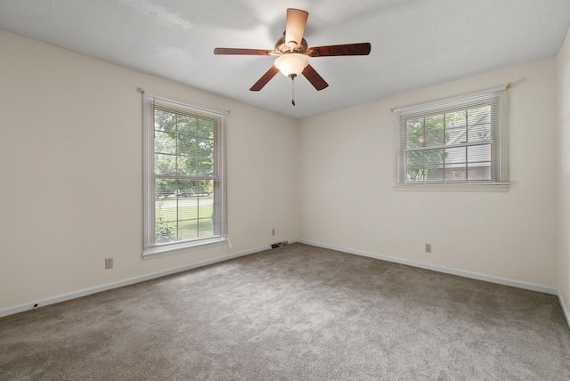 419 Fabian Pl, Clarksville, TN 37043 - photo 19
