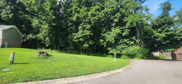 907 Douglas Ln, Clarksville, TN 37043 - photo 1
