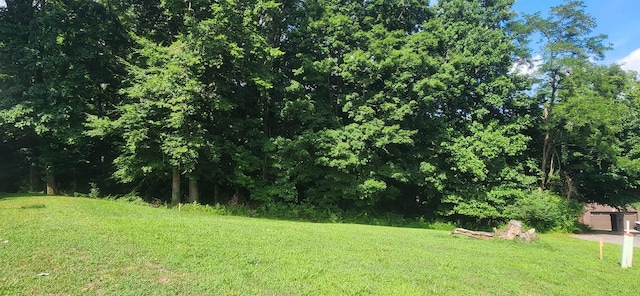 907 Douglas Ln, Clarksville, TN 37043 - photo 3