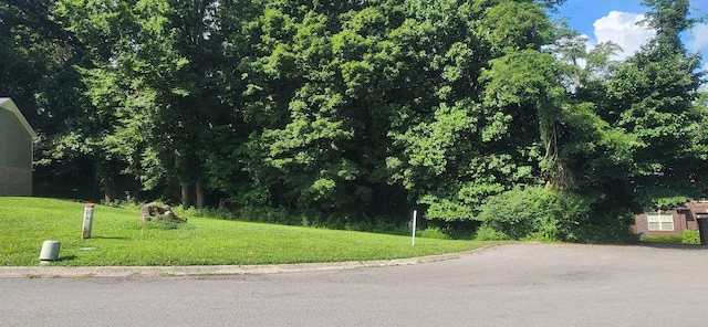 907 Douglas Ln, Clarksville, TN 37043 - photo 2