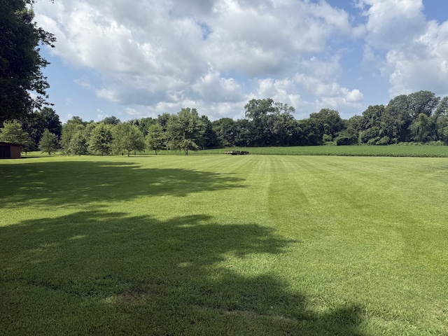 1999 Mount Moriah Rd, Obion, TN 38240 - photo 4