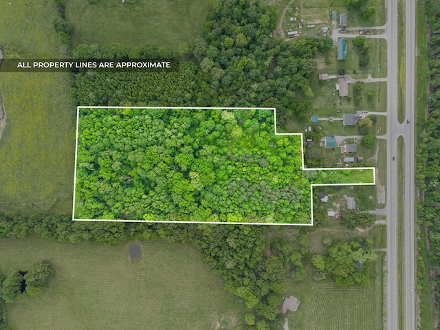 4920 Dover Rd, Indian Mound, TN 37079 - photo 1