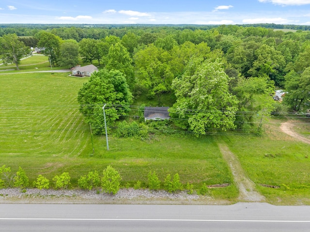 4920 Dover Rd, Indian Mound, TN 37079 - photo 4