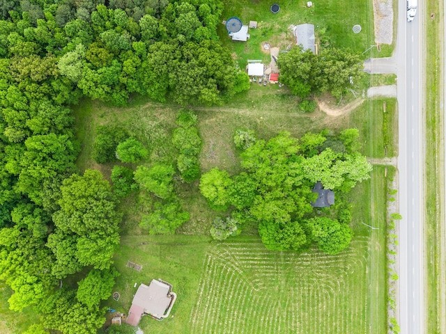 4920 Dover Rd, Indian Mound, TN 37079 - photo 10