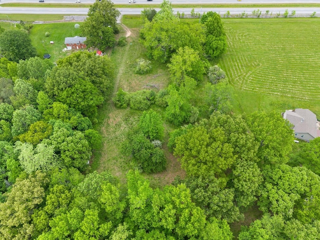 4920 Dover Rd, Indian Mound, TN 37079 - photo 6