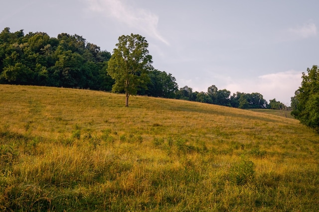 2405 Thompson Rd, Lewisburg, TN 37091 - photo 71