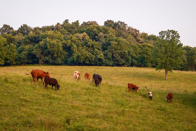 2405 Thompson Rd, Lewisburg, TN 37091 - photo 70