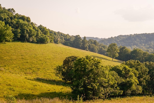 2405 Thompson Rd, Lewisburg, TN 37091 - photo 52