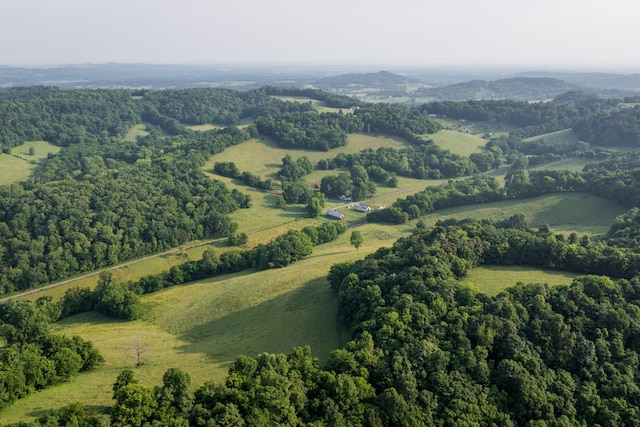 2405 Thompson Rd, Lewisburg, TN 37091 - photo 64