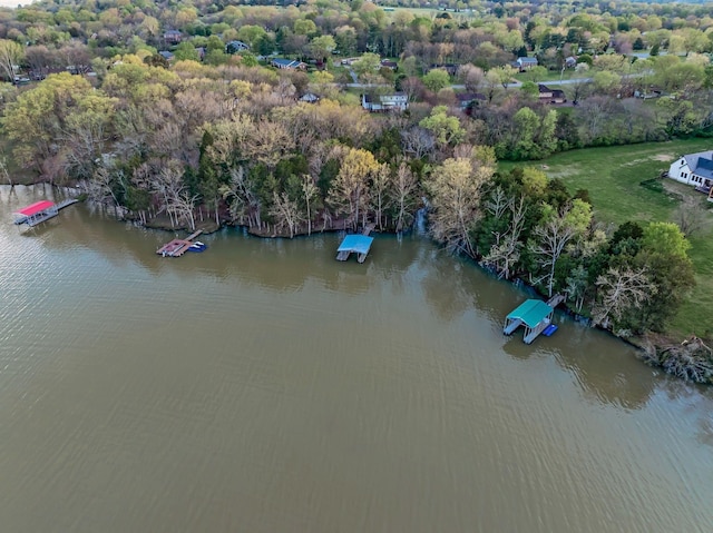 121 Grassland Dr, Gallatin, TN 37066 - photo 49