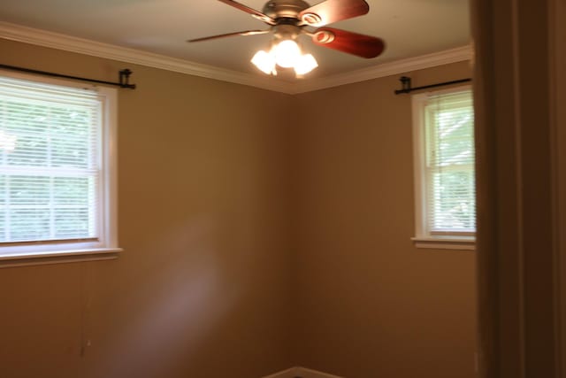 724 Thomas Ave, Cumberland City, TN 37050 - photo 12
