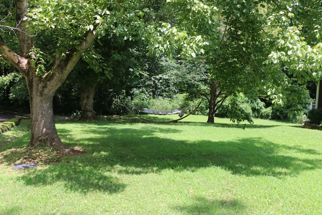 724 Thomas Ave, Cumberland City, TN 37050 - photo 19