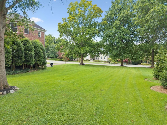 1001 Williams Way, Old Hickory, TN 37138 - photo 52