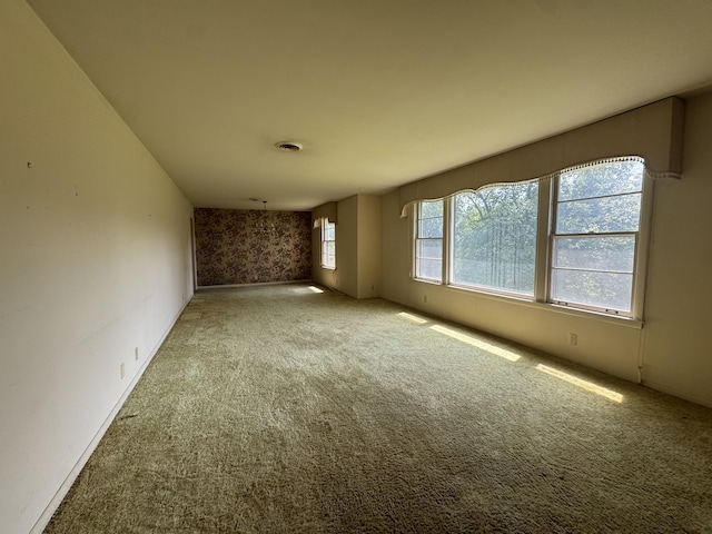 529 S Pawnee Dr, Springfield, TN 37172 - photo 5
