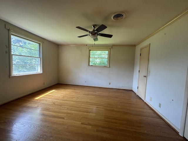 529 S Pawnee Dr, Springfield, TN 37172 - photo 7
