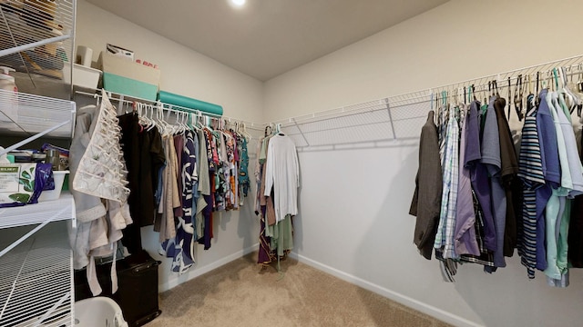 4551 Hoboken Way, Murfreesboro, TN 37128 - photo 22